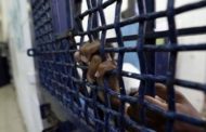 الأسرى للشعب الفلسطيني: تجهزنا لمعركة الكرامة